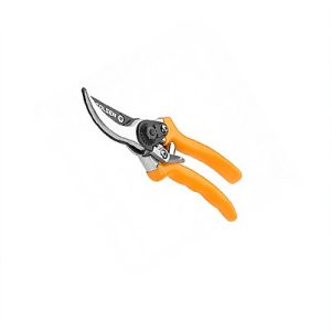 Pruning Shear